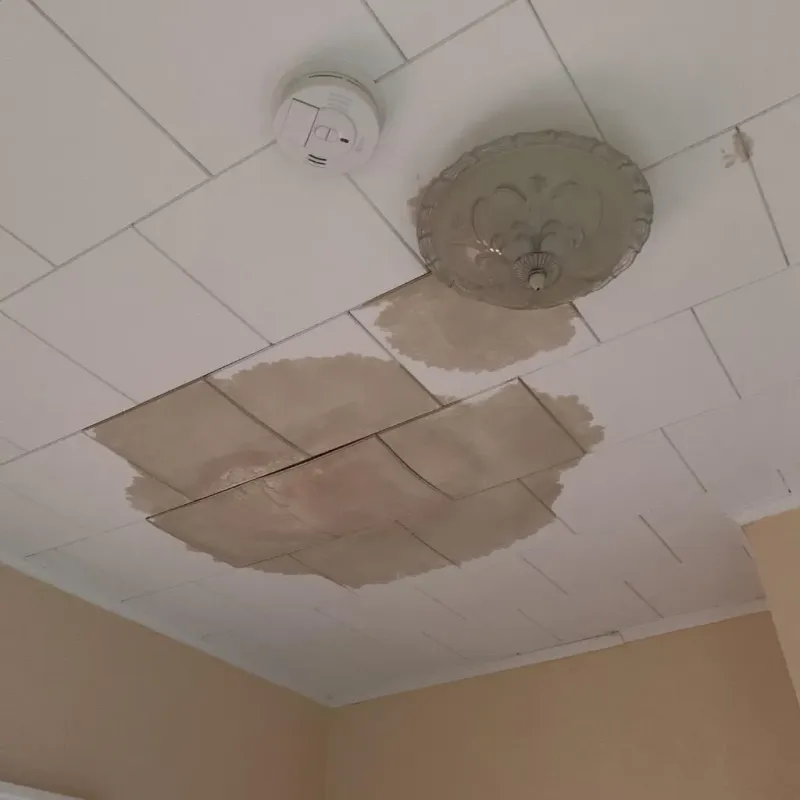 Ceiling Water Damage Repair in Wilton, CT
