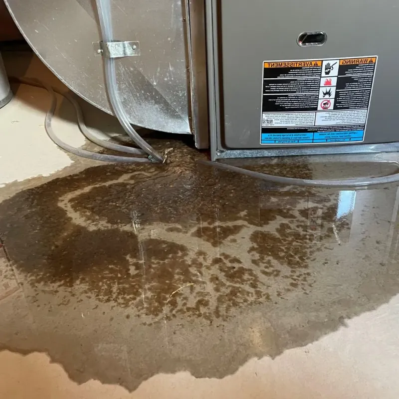 Pipe Burst and Leak Restoration in Wilton, CT